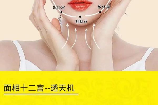 面相与风水的关系揭秘！