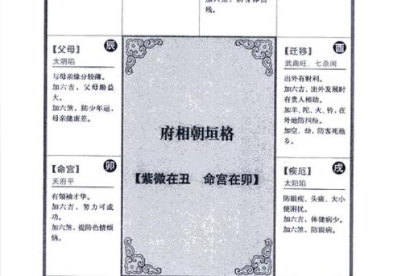紫薇斗数格局图