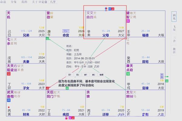 紫薇斗数格局图