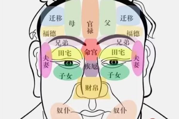 日本面相学:下巴算命 日本面相学:下巴算命