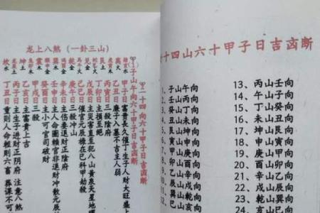 八字精论乙酉,戊午日精论