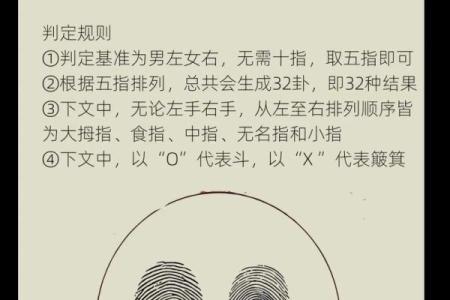 手相指纹算命图解