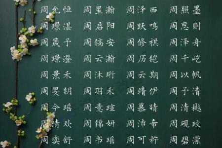真正免费取名网,起名网生辰八字取名字