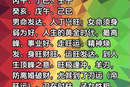 戊午命最好的八字