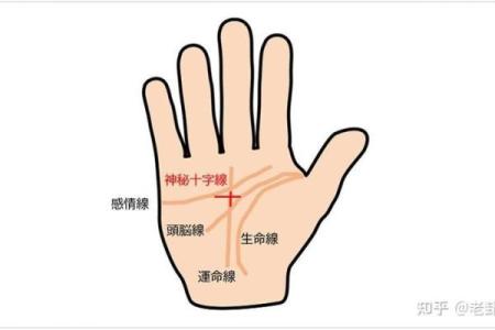 手相算命，对着内容看你的手相