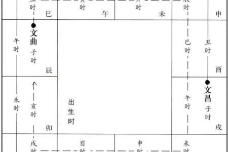 紫薇斗数中什么是拱