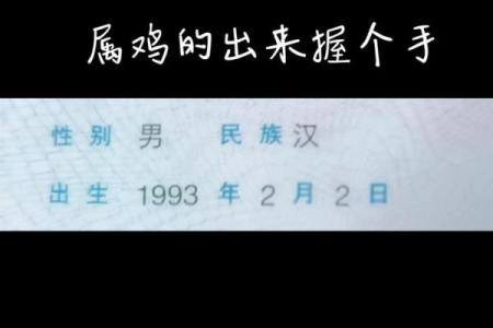 中午12点出生的属鸡男孩如何起名合适姓名
