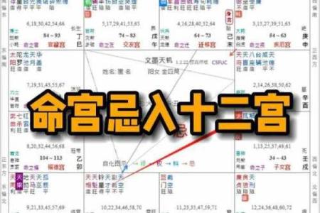 紫薇斗数看行运