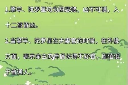紫薇圣人八字的简单介绍