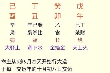 生肖猪八字起名推荐，让宝宝更“吉”更吉利
