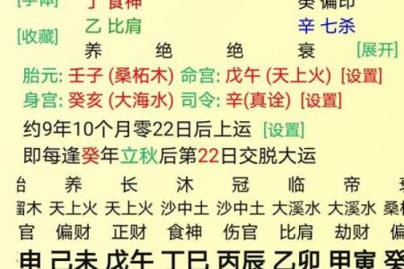 八字命宫查询表
