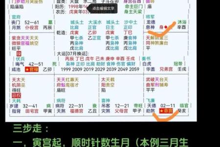 紫微斗数0元课 紫微斗数入门教学讲座视频？