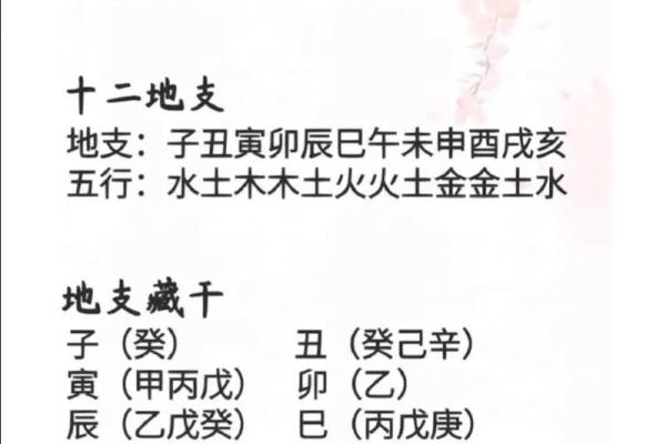八字地支三个寅