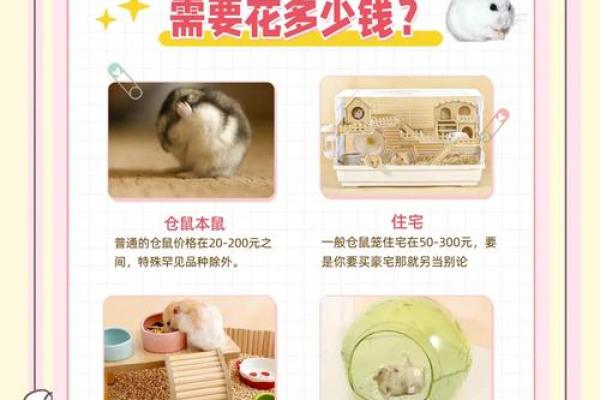 家里养仓鼠对风水好吗