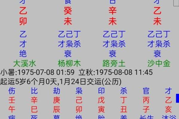 八字命理之辛金命理喜忌