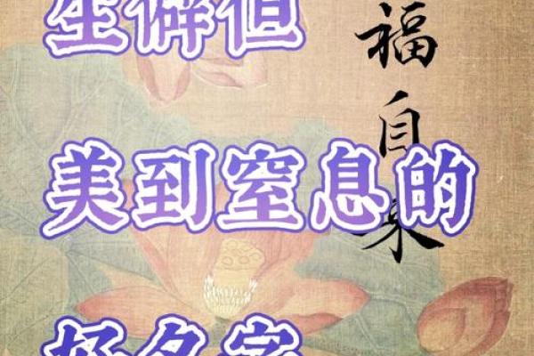 测试姓名配对素材库 姓名配对测试软件？