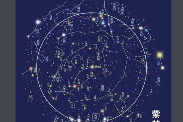紫薇科技紫微斗数 紫微斗数 紫薇？