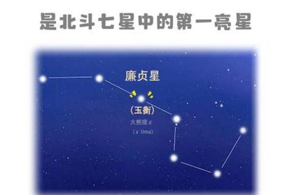 紫薇科技紫微斗数 紫微斗数 紫薇？