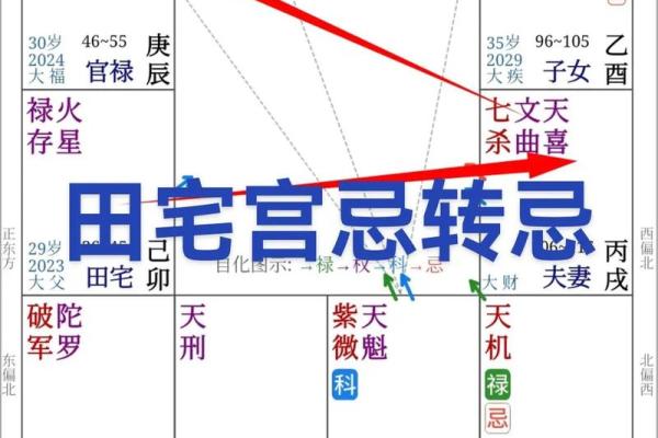 紫薇星坐田宅宫男命