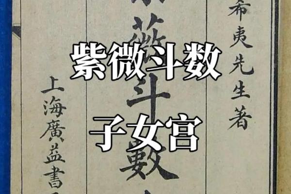 紫薇斗数对拱怎么看