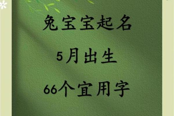2019年5月9号卯时出生的男孩如何起名姓名