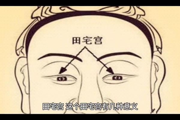 紫薇斗数看田宅宫