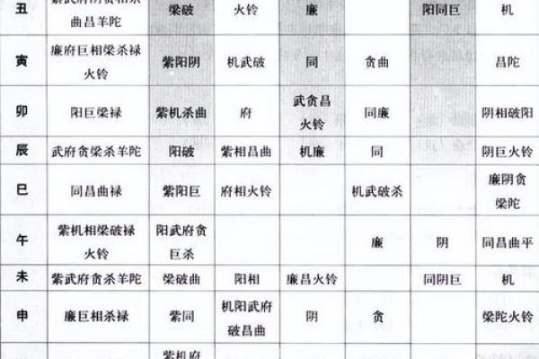 紫薇斗数右弼入命宫