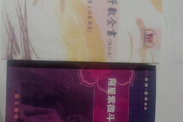 老鼠紫微斗数全书共几卷 老鼠 紫菀？