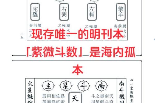 老鼠紫微斗数全书共几卷 老鼠 紫菀？