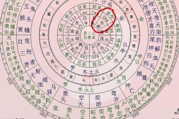 紫微命盘太阴在亥宫,太阴星在亥宫守命宫