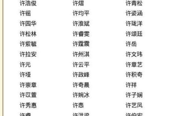 许姓男孩名字大全-许姓男孩起名字大全-许姓名字大全姓名
