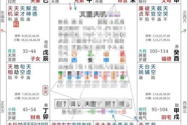 k366紫薇斗数