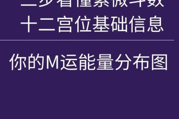 紫薇斗数解盘許