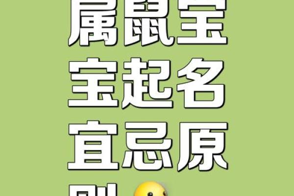 早上8点出生的属鼠男孩起名适合用什么字姓名