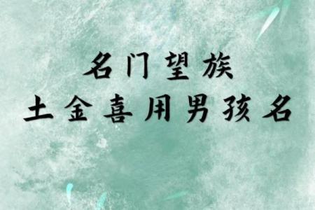 2019年6月23号子时出生的男孩如何起名姓名