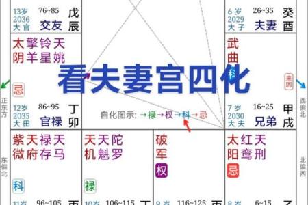 紫微斗数哪颗星适合女生 紫微斗数里面最好的星？