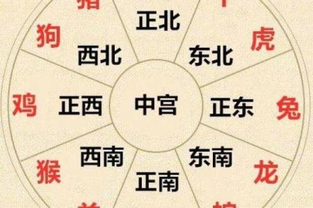 紫薇斗数壬寅年运