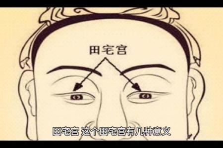紫薇斗数看田宅宫