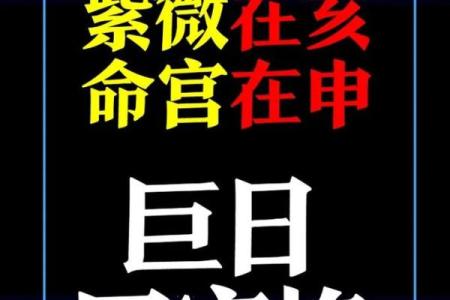 紫微命盘太阴在亥宫,太阴星在亥宫守命宫