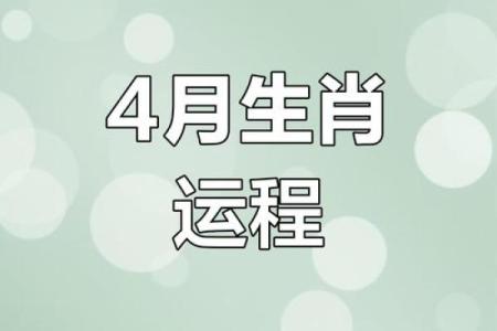 运气测试2024免费 2024年免费运气测试