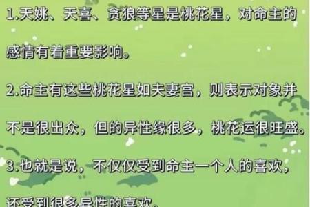 紫薇斗数看讨债
