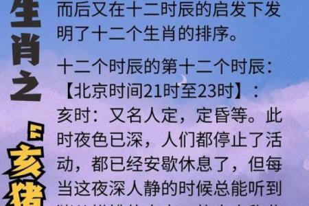 属猪的八字