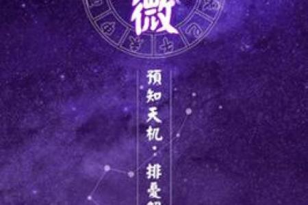 从事艺术紫薇斗数