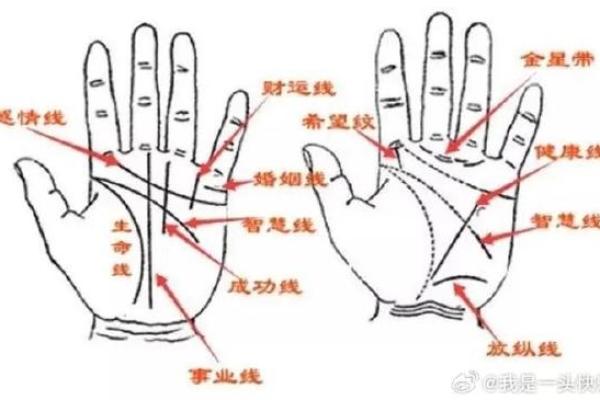 凯帝阿手相算命图解大全08