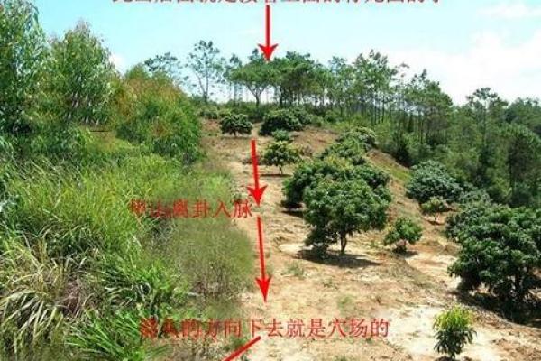 腰带与风水：攻略指南
