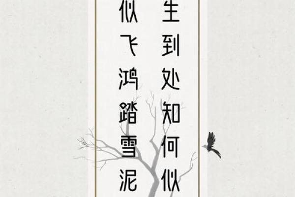 会算命卜卦的古言