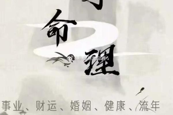 会算命卜卦的古言