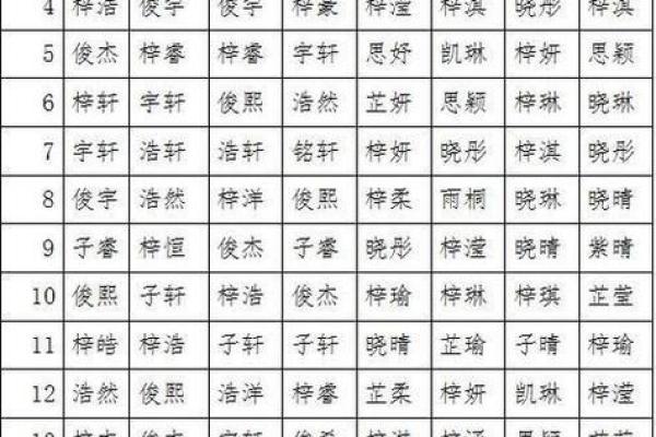 2019年5月5号子时出生的男孩要怎么起名字姓名