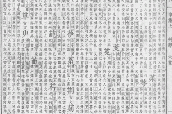 1518名字测试打分测试
