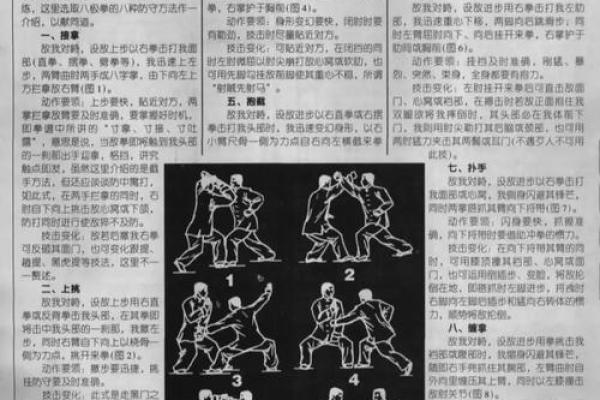 形意门秘传八字连环拳